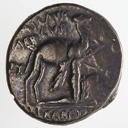 Round coin, aged, camel, facing right, kneeling figure by its side, holding branch.