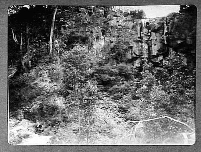 Photograph
