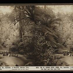 Stereograph - 'The St George River, Lorne, Victoria, Australia, 1910'
