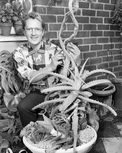 Man with a Succulent Plant, Black Rock, Victoria, 10 Mar 1960