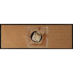 Underside of wooden microslide containing bryozoan specimen,