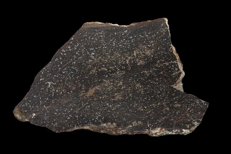 Alamogordo Meteorite. [E 2031]