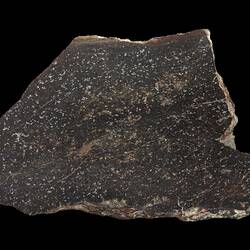 Alamogordo Meteorite. [E 2031]