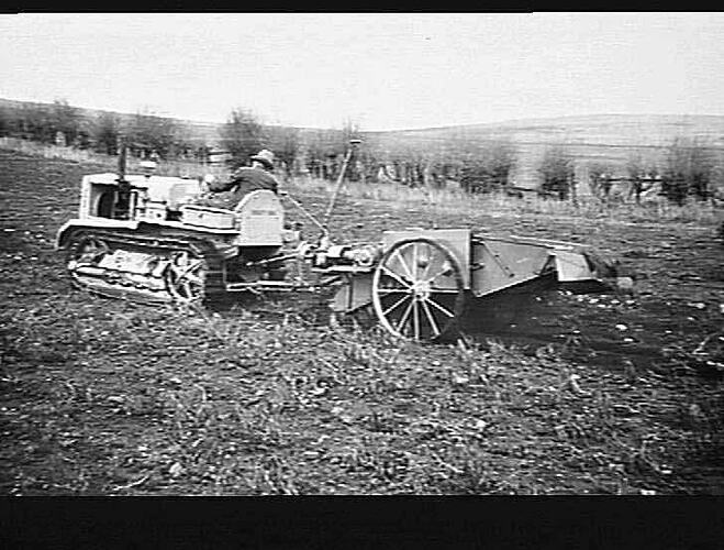 M-H POWER TAKE OFF POTATO DIGGER (IMPORTED) IN 3 TON CROP `SNOWFLAKES': MR DALZIEL, CLARKES HILL, VIC: 1943