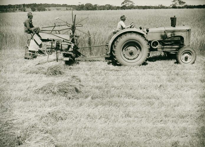 Man driving a tractor towing a PTO Reaper Binder with a man operating it.