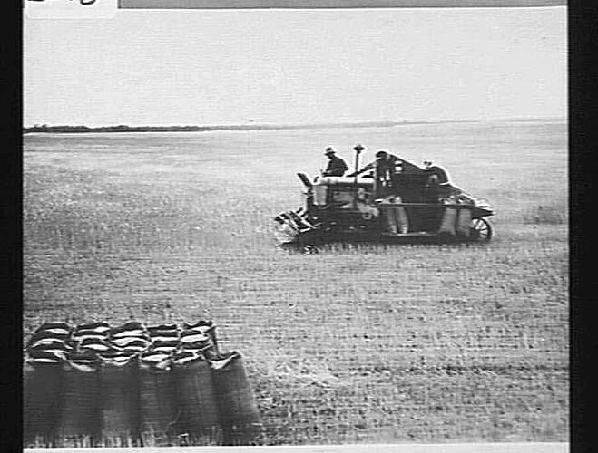 Photograph - H. V. McKay factory and/or equipment