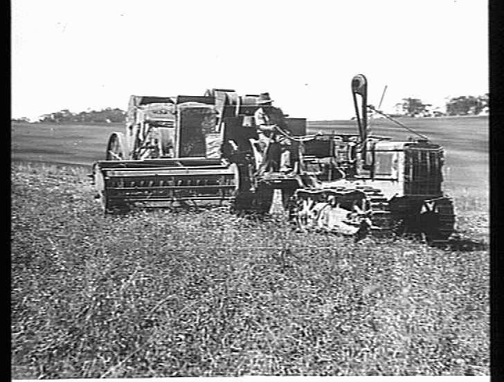 Photograph Hv Mckay Massey Harris Farm Equipment Manufacture And Field Trials Giles Corner