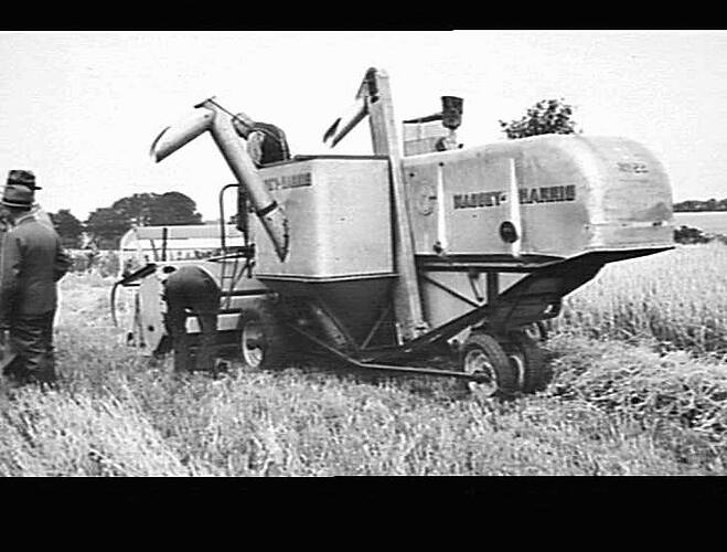 AUTO HEADERS IN ENGLAND: (PHOTOS SENT FROM ENGLAND BY S.S.MCKAY): NO. 22 M-H SELF PROPELLED REAPER-THRESHER. THIS IS A GENERAL VIEW ON AN OPEN FRONT REAPER/THRESHER TAKEN FROM THE REAR. NOTE THE REAR STEERING, WHICH IS PRACTICALLY THE SAME AS THE FRONT WH