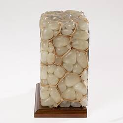 Rectangular shaped model of smooth white cells forming a wall. Wooden base. Profile.