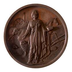 Medal - National Agricultural Society of Victoria, Bronze Prize, Victoria, Australia, 1876