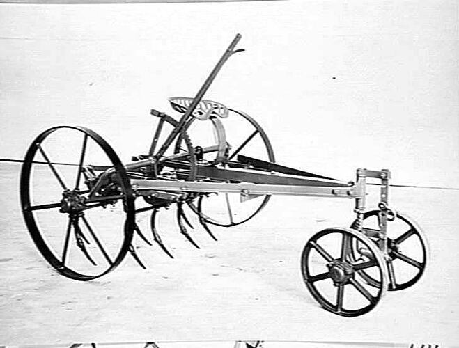 `SUNPALM': SEPT 1931