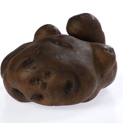 Irregularly shaped brown model of a potato.