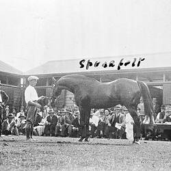 Negative - Newmarket, Victoria, circa 1925
