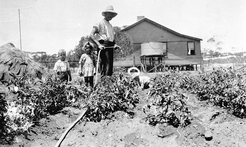[Growing food for the family, Kurnwill, Mallee, about 1930.]