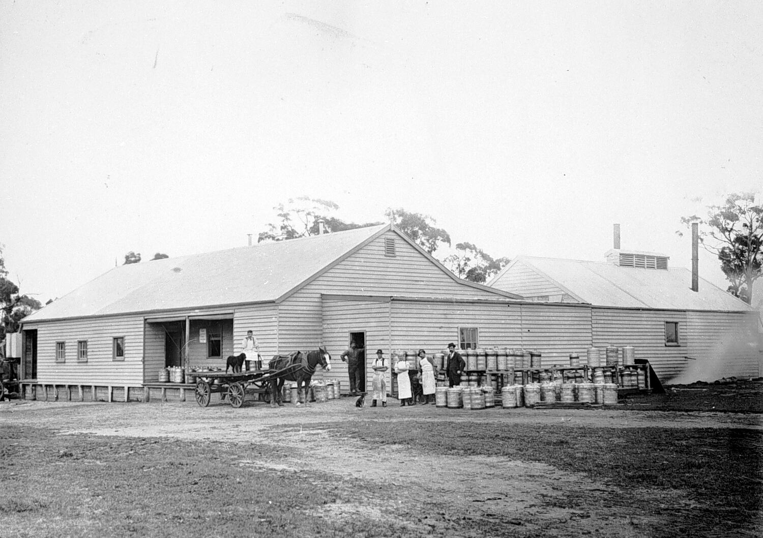 Negative Lang Lang, Victoria, circa 1920 Negative Lang Lang, Victoria, circa 1920
