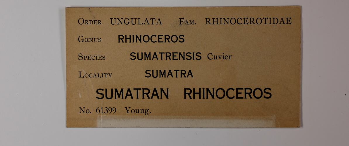 Off-white rectangular label with black text.