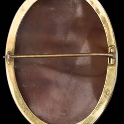 Back of oval brooch. Brown set in polished gold border with horizontal pin.