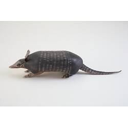 <em>Dasypus novemcinctus</em>, Nine-banded Armadillo. [C 27258]