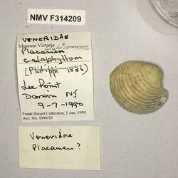 Dry Venus Clam shell beside labels.