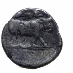 Coin - Didrachm, Neapolis, Campania, Italy, circa 250 BC