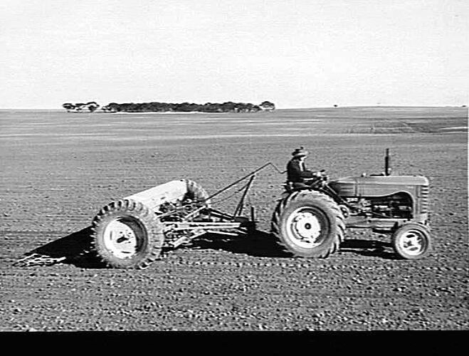 20 ROW `SUNTYNE' COMBINED GRAIN & FERTILIZER DRILL AND SPRING TINE CULTIVATOR (NEW 500 SERIES) WITH `SUNTOW' STUMP JUMP SMOOTHING HARROWS, SOWING WHEAT ON MR. IAN WHITE'S FARM AT WOOMELANG, VIC.: JUNE 1952