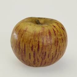Wax apple model. Red yellow with red streaks.