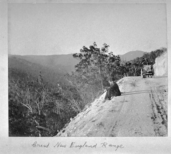 The Big Scrub N.S.W. Crest New England Range