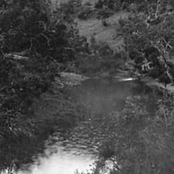 Photograph - by A.J. Campbell, Jackson's Creek, Victoria, circa 1905