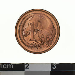 Round bronze coin featuring a feather-tail glider curved around the number 1.