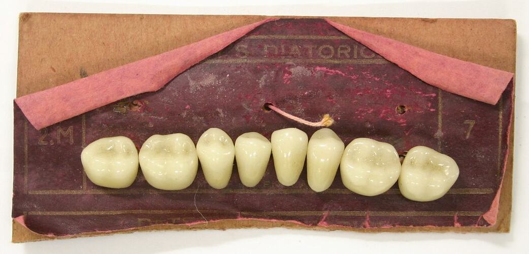 Eight artificial teeth on a crimson card.