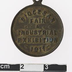 Round bronze coloured medal with text.