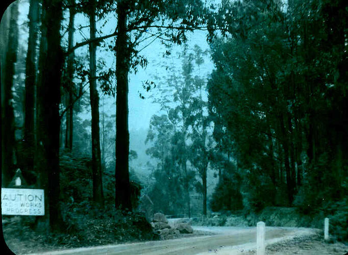 Lantern Slide - Mt Dandenong, Victoria, 1938. [BA 1631]