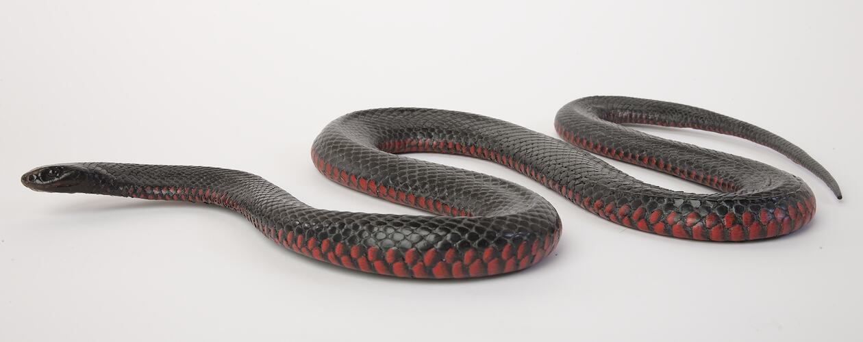 Red and black snake model