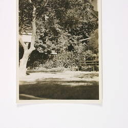 Photograph - Garden at Kodak Factory, Abbotsford, 1940s