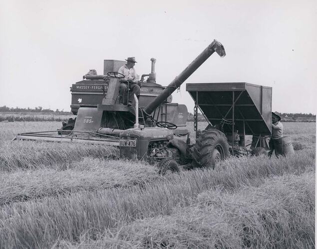 A man operating a rice harvester, with a man bagging rice from a grain bin.