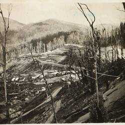 Photograph - State Electricity Commission, Group of Wooden Buildings in Fire Effected Bushland, Victoria, circa 1940