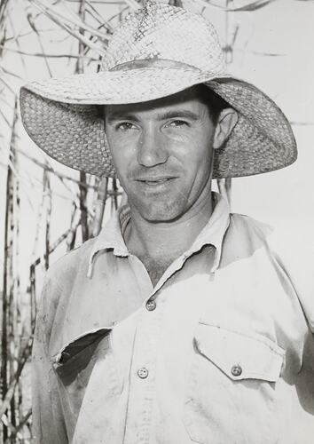 Photograph - Massey Ferguson, Jim, Cane Farmer, Queensland, 1960s