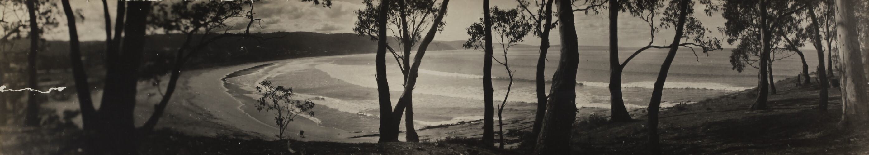 Photograph - Coastal Landscape, Lorne, Victoria, circa 1920s