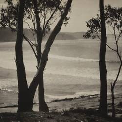 Photograph - Coastal Landscape, Lorne, Victoria, circa 1920s