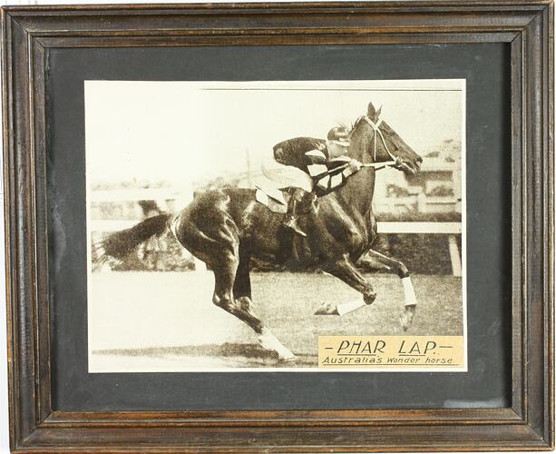 Photograph - Jimmy Pike & Phar Lap Racing, Framed, 1930s