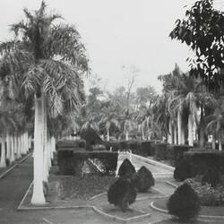 Photograph - 'Gardens', Egypt, World War II, 1939-1943