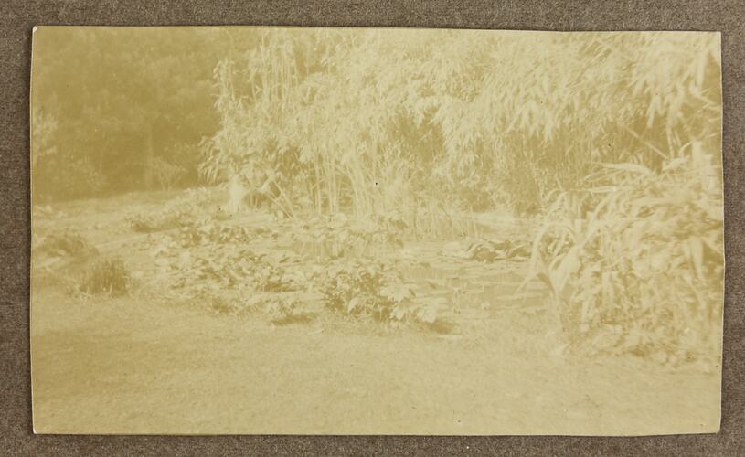 Photograph - Pond, Driver Cyril Rose, World War I, 1916-1919