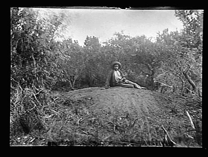 Man posed on mound in bushland.
