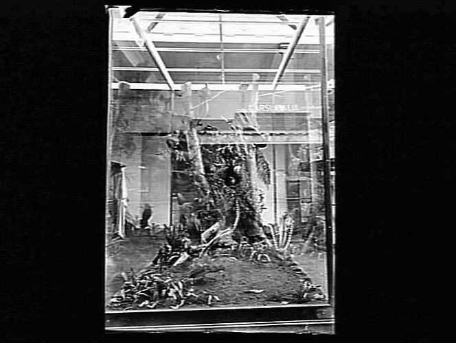 Negative - Glass