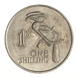 Coin - 1 Shilling, Zambia, 1966