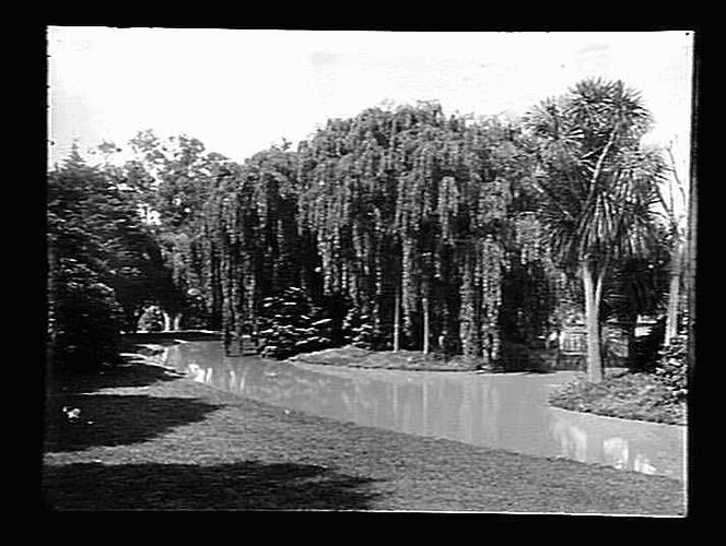 Negative - Glass