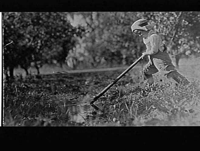 MERRIGUM - OTHERY - FRANK NAPIER PITTS