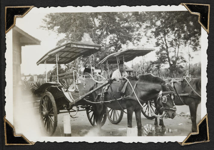 Two carriages with driver and horse, trees in background.