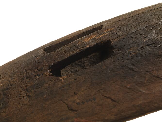 Detail of the back of a rainforest shield.