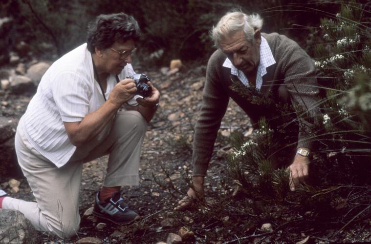 Hope Macpherson Black & Ian Black find Conospermum Mitchellii, Grampians, Victoria, circa 1980